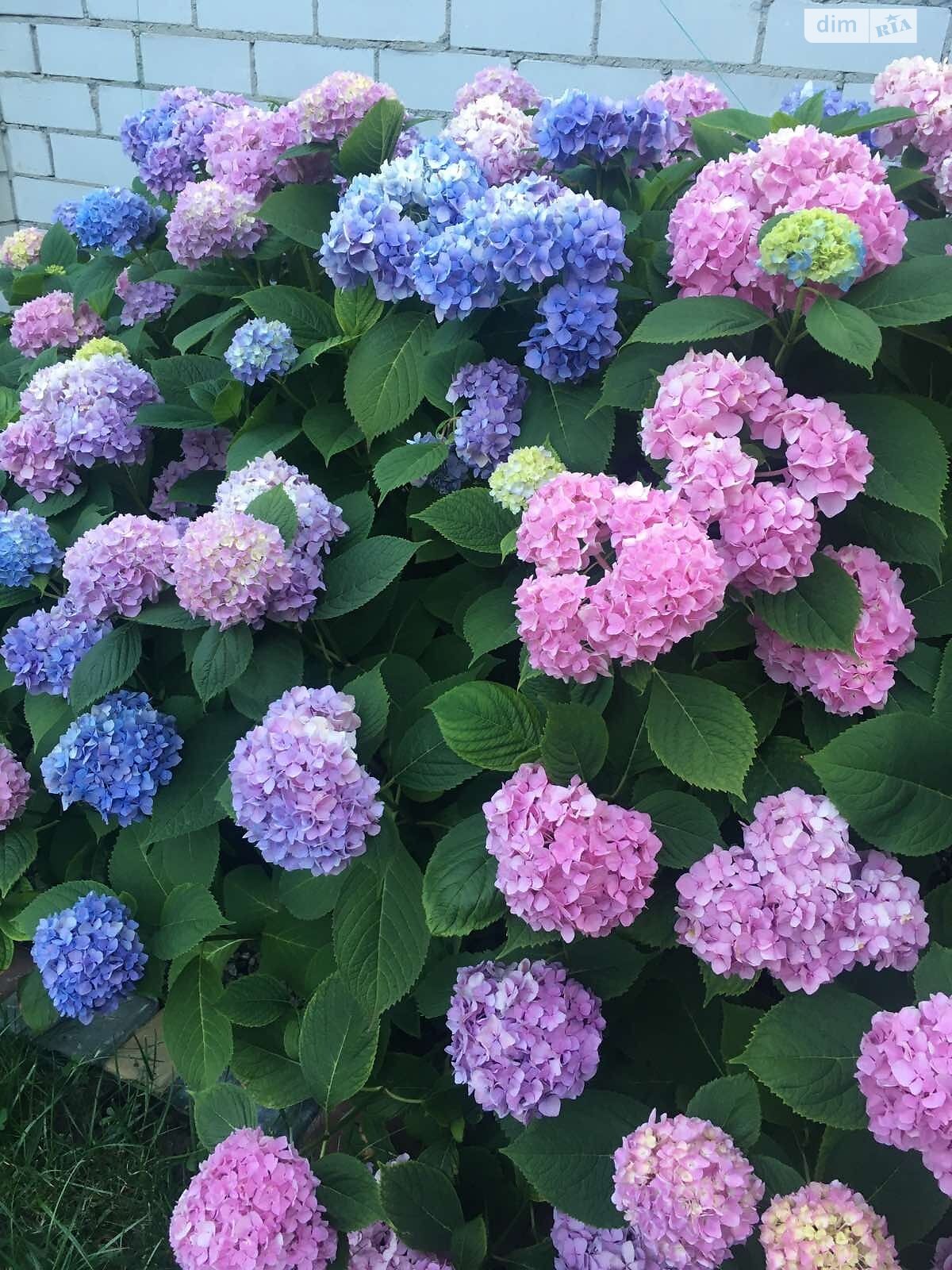 одноповерхова частина будинку, 50 кв. м, цегла. Здається помісячно в Дніпрі, в районі 1 травня фото 1 однопроверхова частина будинку, 50 кв. м, цегла. Здається помісячно в Дніпрі, в районі 1 травня фото 1