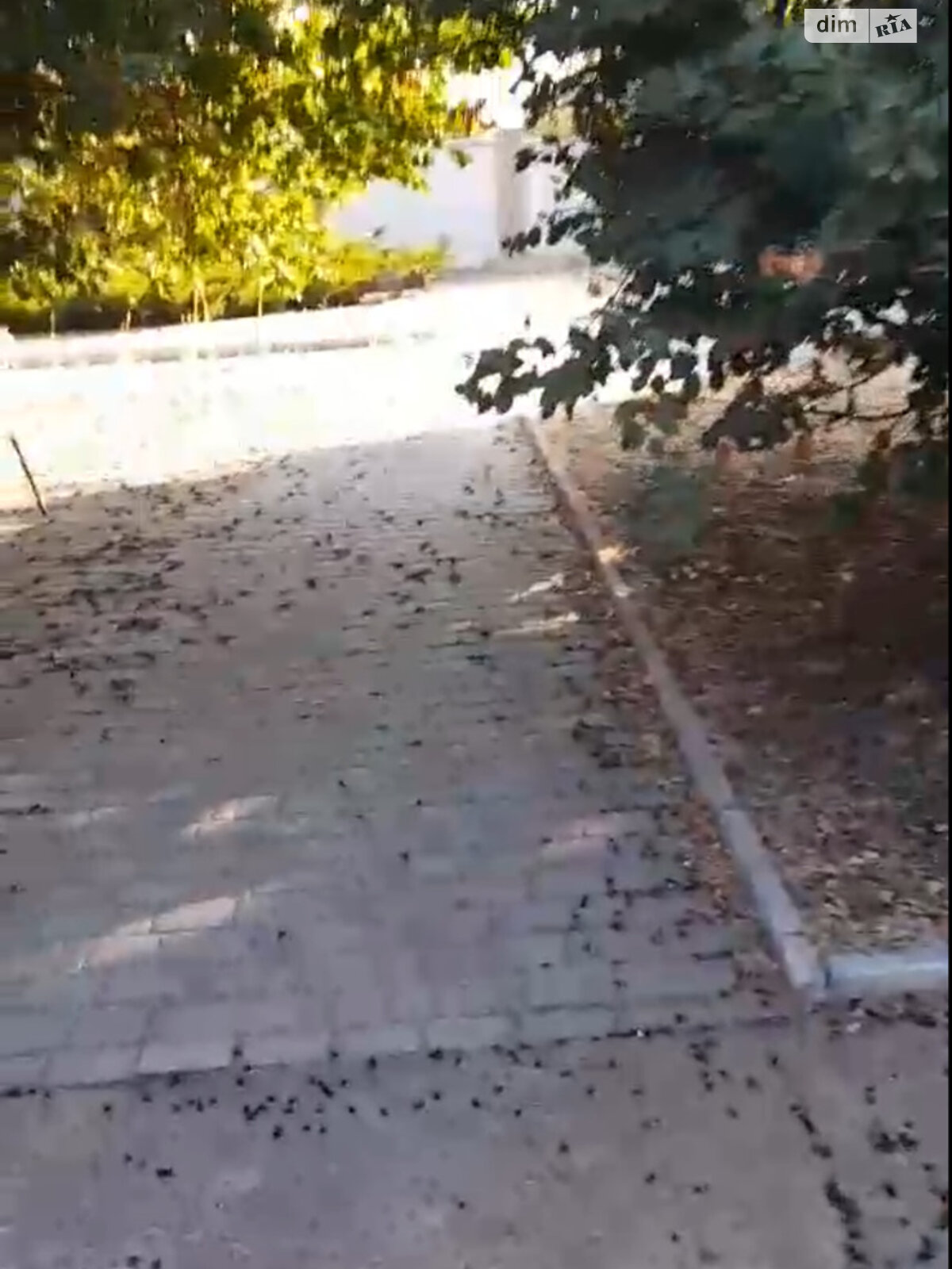 одноэтажная часть дома, 45 кв. м, кирпич. Сдается помесячно в Херсоне, в районе Корабельный фото 1 одноэтажная часть дома, 45 кв. м, кирпич. Сдается помесячно в Херсоне, в районе Корабельный фото 1