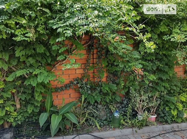 одноэтажная часть дома, 40 кв. м, кирпич. Сдается помесячно в Одессе, в районе Слободка фото 1 одноэтажная часть дома, 40 кв. м, кирпич. Сдается помесячно в Одессе, в районе Слободка фото 1