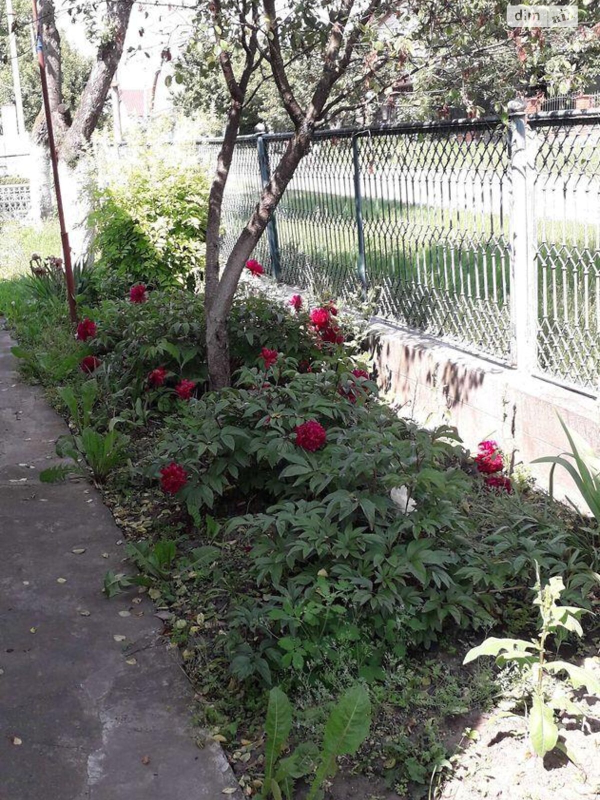 одноэтажная часть дома, 92 кв. м, кирпич. Сдается помесячно в Тернополе, в районе Старый парк фото 1