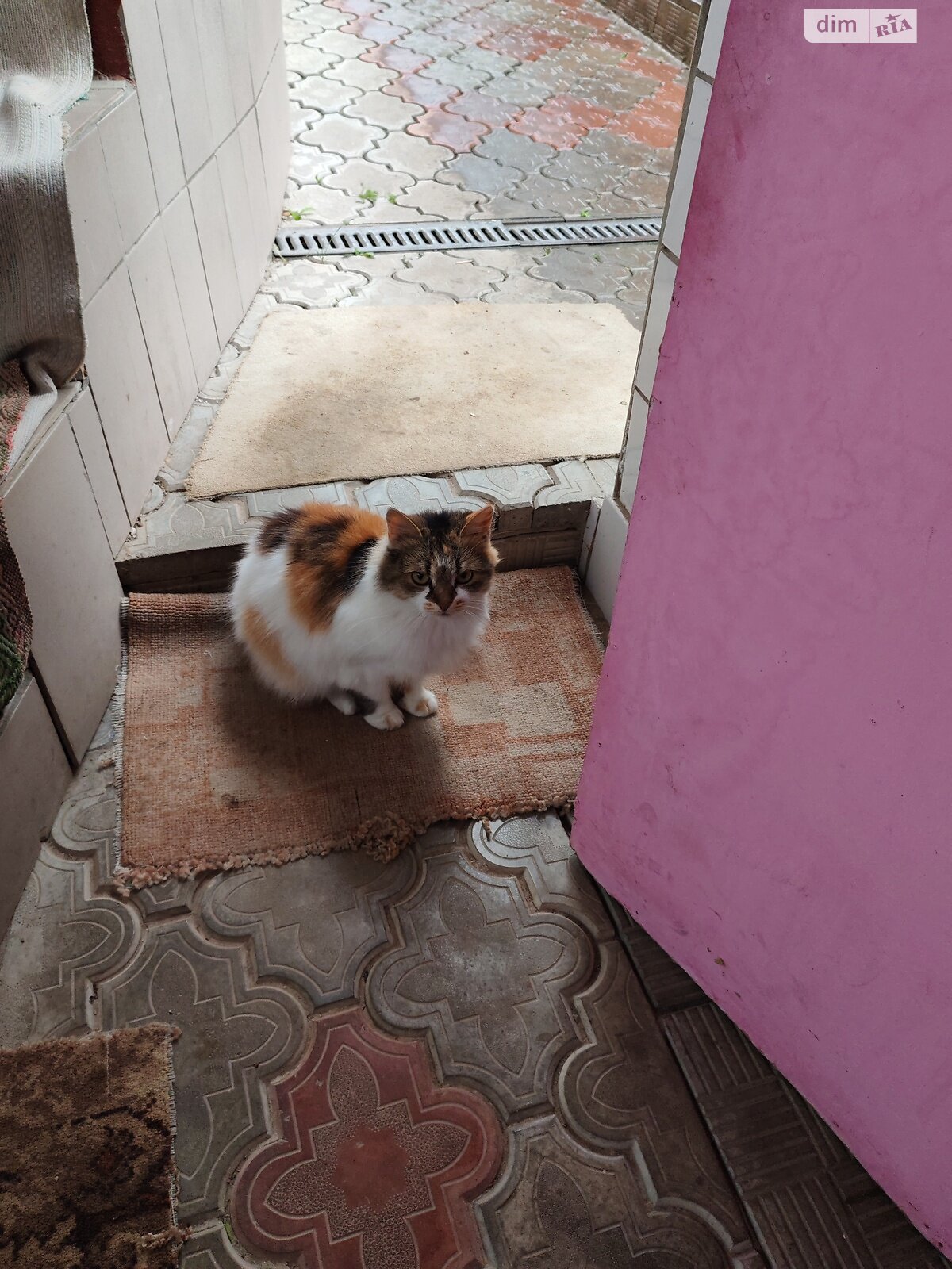 одноэтажная часть дома, 40 кв. м, кирпич. Сдается помесячно в Виннице, в районе Старогородский фото 1 одноэтажная часть дома, 40 кв. м, кирпич. Сдается помесячно в Виннице, в районе Старогородский фото 1