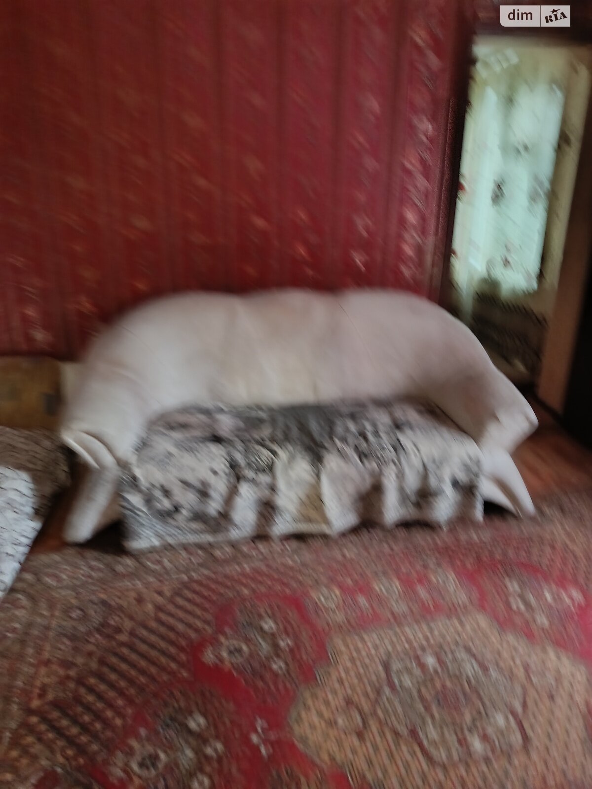 однопроверхова частина будинку, 45 кв. м, кирпич. Здається помісячно в Вінниці, в районі Ближнє замостя фото 1