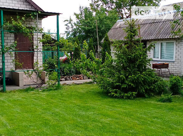 одноповерхова дача біля річки, 45 кв. м, цегла. Здається помісячно в село Рожни, Київська обл. фото 1 одноповерхова дача біля річки, 45 кв. м, цегла. Здається помісячно в село Рожни, Київська обл. фото 1