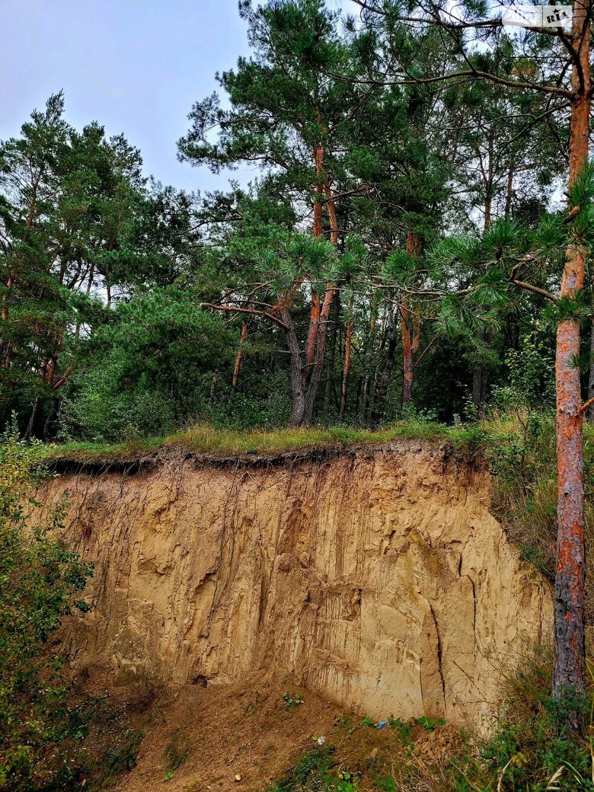 двоповерховий будинок з верандою, 147.7 кв. м, цегла. Здається помісячно в Боровій фото 1 двоповерховий будинок з верандою, 147.7 кв. м, цегла. Здається помісячно в Боровій фото 1