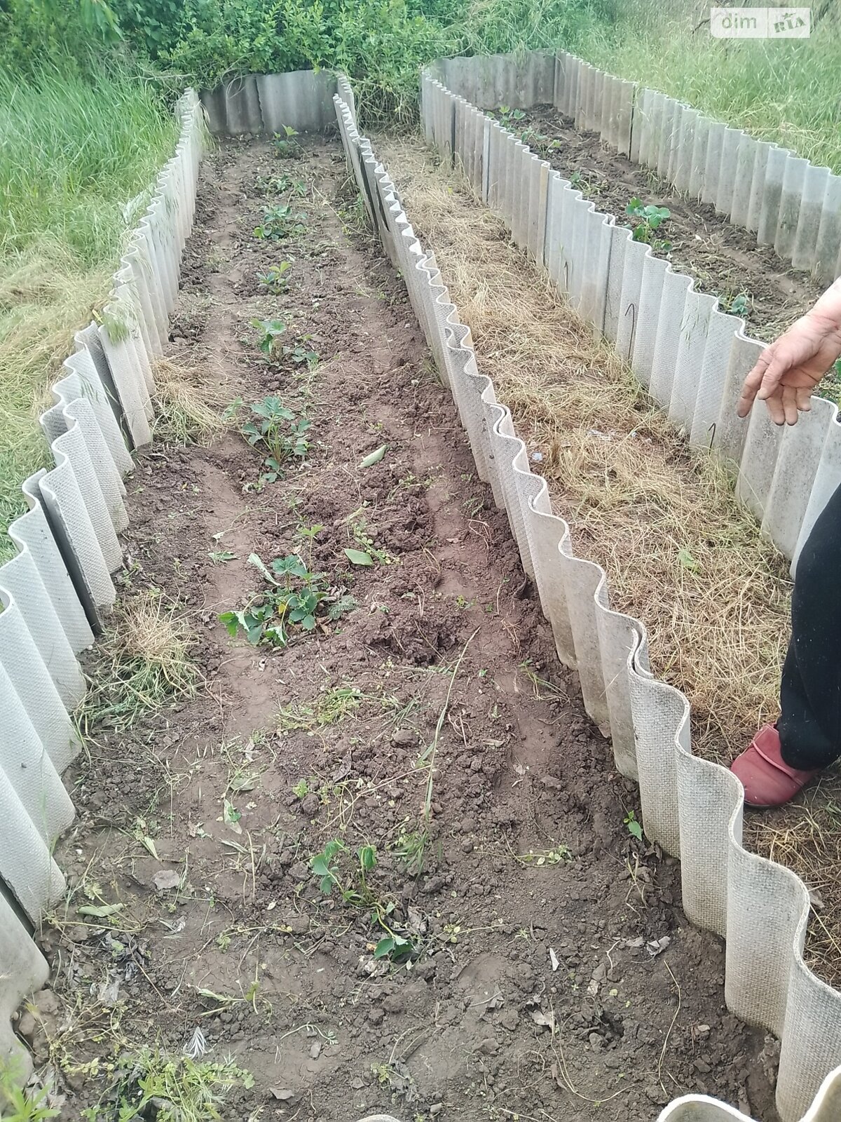 двоповерховий будинок, 130 кв. м, цегла. Здається помісячно в Чкалівці фото 1 двоповерховий будинок, 130 кв. м, цегла. Здається помісячно в Чкалівці фото 1