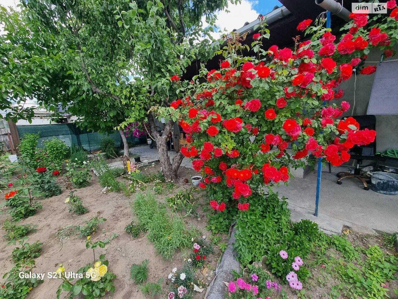 одноэтажный дом, 45 кв. м, кирпич. Сдается помесячно в Днепре, в районе Березинка фото 1