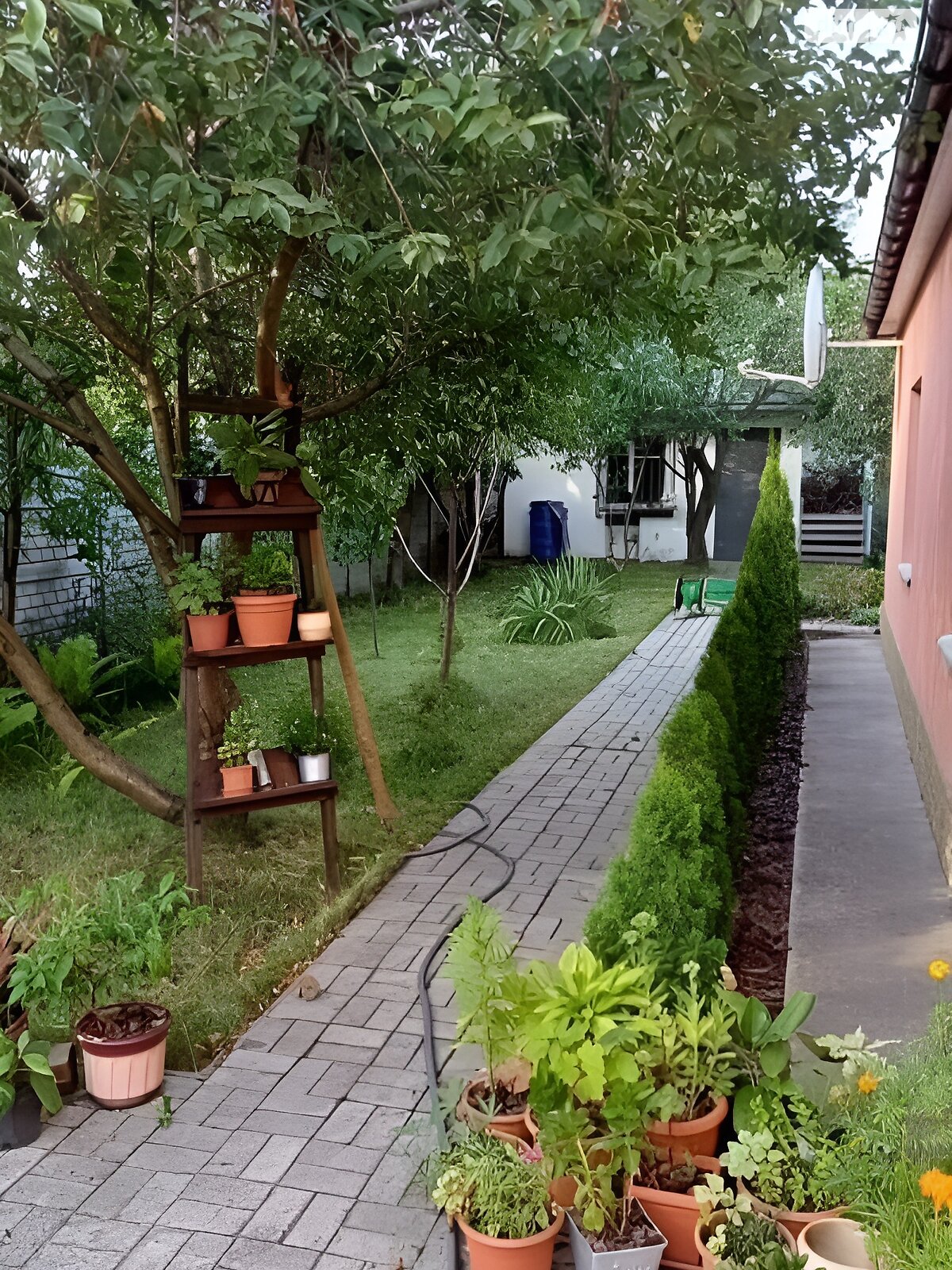 одноповерховий будинок з верандою, 100 кв. м, цегла. Здається помісячно в Дніпрі, в районі Боржом фото 1 однопроверховий будинок з верандою, 100 кв. м, цегла. Здається помісячно в Дніпрі, в районі Боржом фото 1