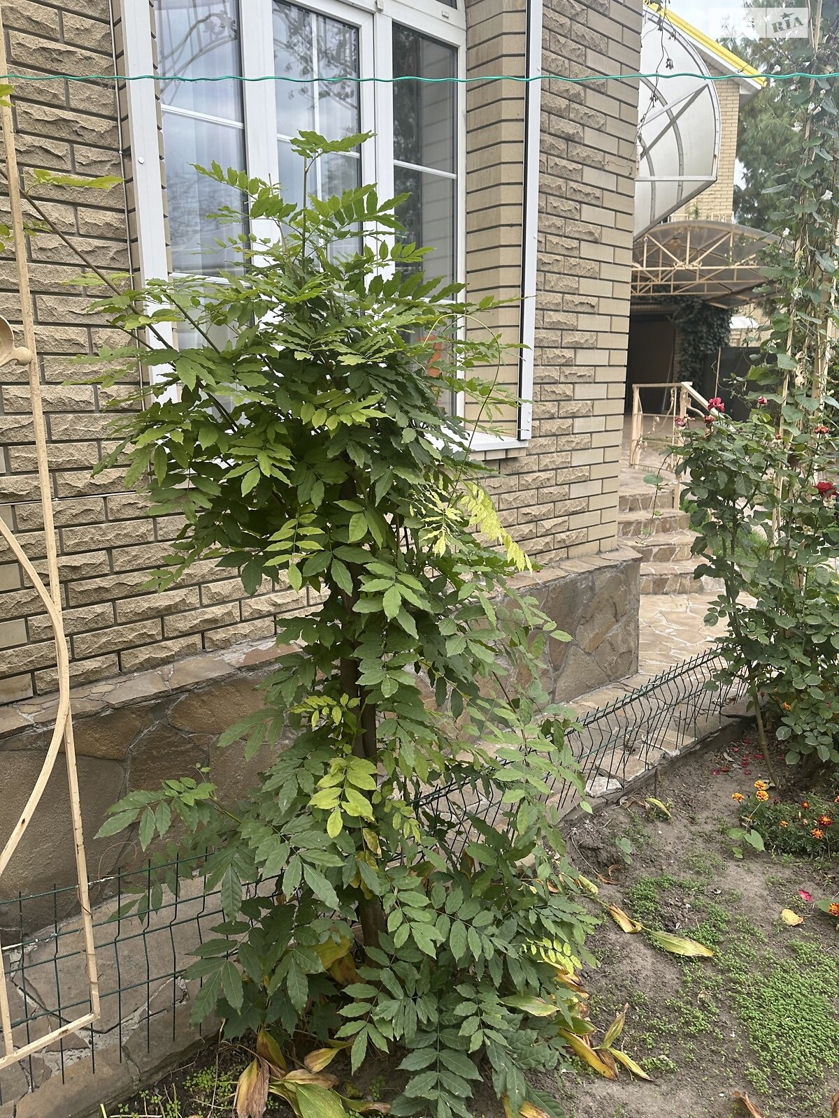 триповерховий будинок з гаражем, 220 кв. м, цегла. Здається помісячно в Дніпрі, в районі ДІІТ фото 1 трипроверховий будинок з гаражем, 220 кв. м, цегла. Здається помісячно в Дніпрі, в районі ДІІТ фото 1