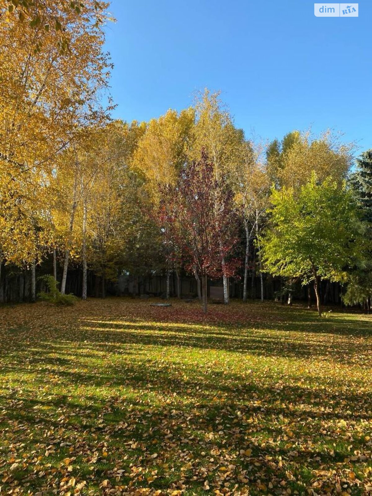 трехэтажный дом с верандой, 1800 кв. м, кирпич. Сдается помесячно в Днепре, в районе ДИИТ фото 1 трехэтажный дом с верандой, 1800 кв. м, кирпич. Сдается помесячно в Днепре, в районе ДИИТ фото 1