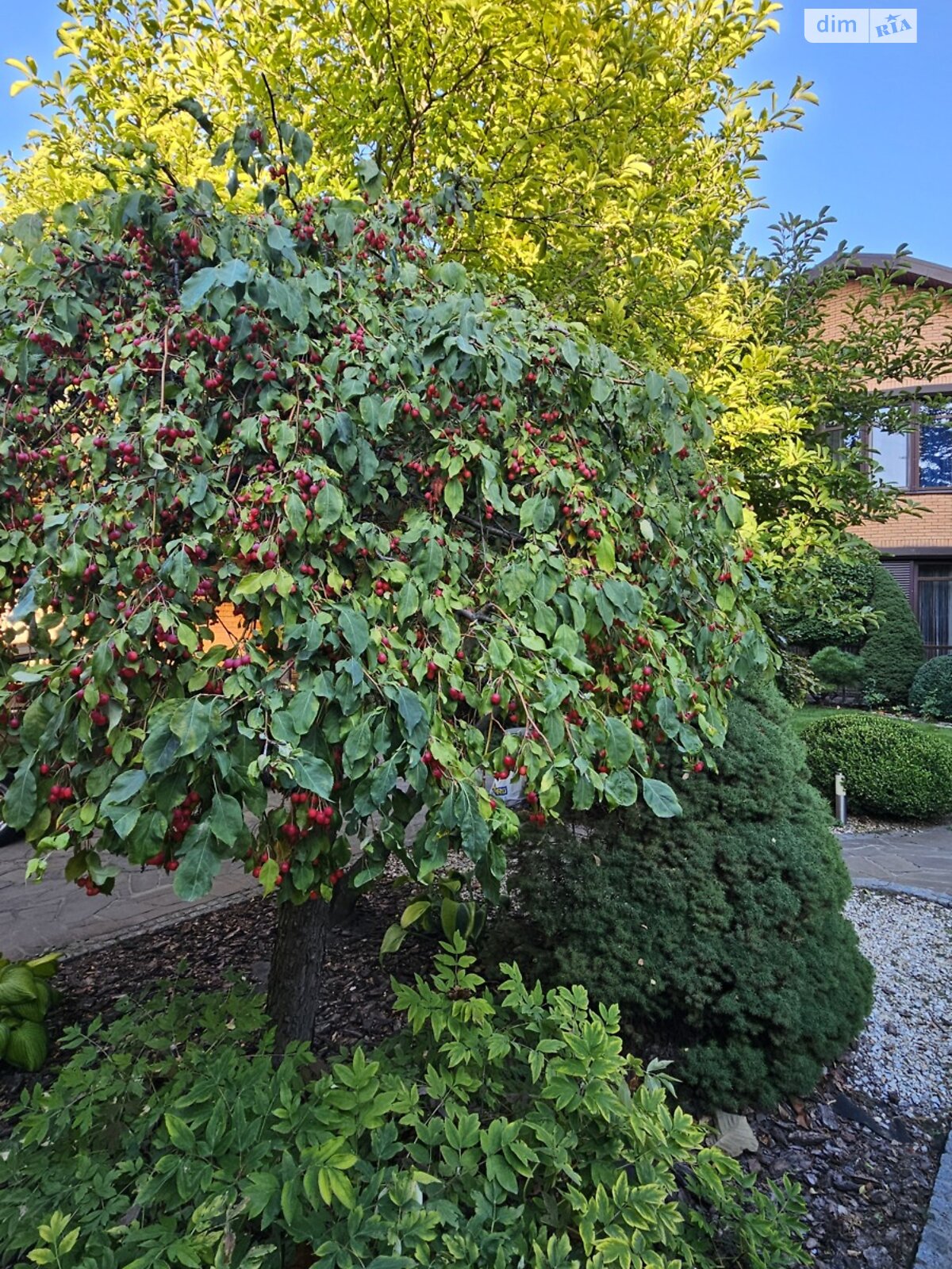 двухэтажный дом, 200 кв. м, кирпич. Сдается помесячно в Днепре фото 1