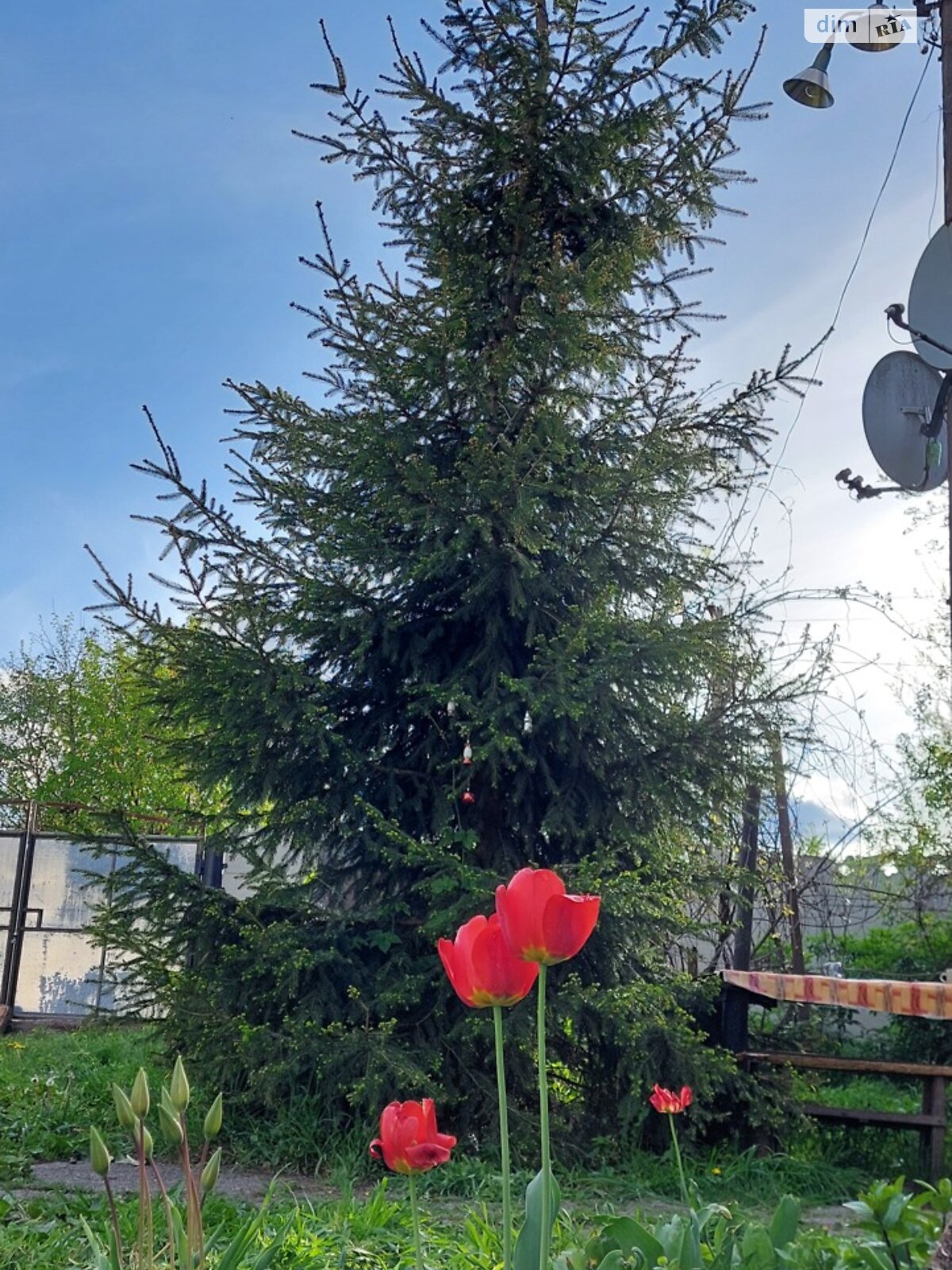 одноповерховий будинок з верандою, 58.8 кв. м, цегла. Здається помісячно в Гаївщині фото 1 одноповерховий будинок з верандою, 58.8 кв. м, цегла. Здається помісячно в Гаївщині фото 1