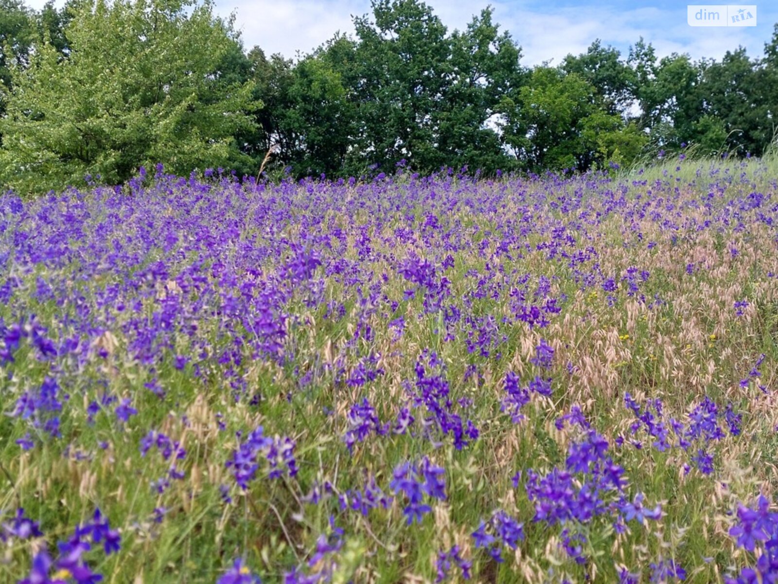 одноповерховий будинок з верандою, 58.8 кв. м, цегла. Здається помісячно в Гаївщині фото 1 одноповерховий будинок з верандою, 58.8 кв. м, цегла. Здається помісячно в Гаївщині фото 1