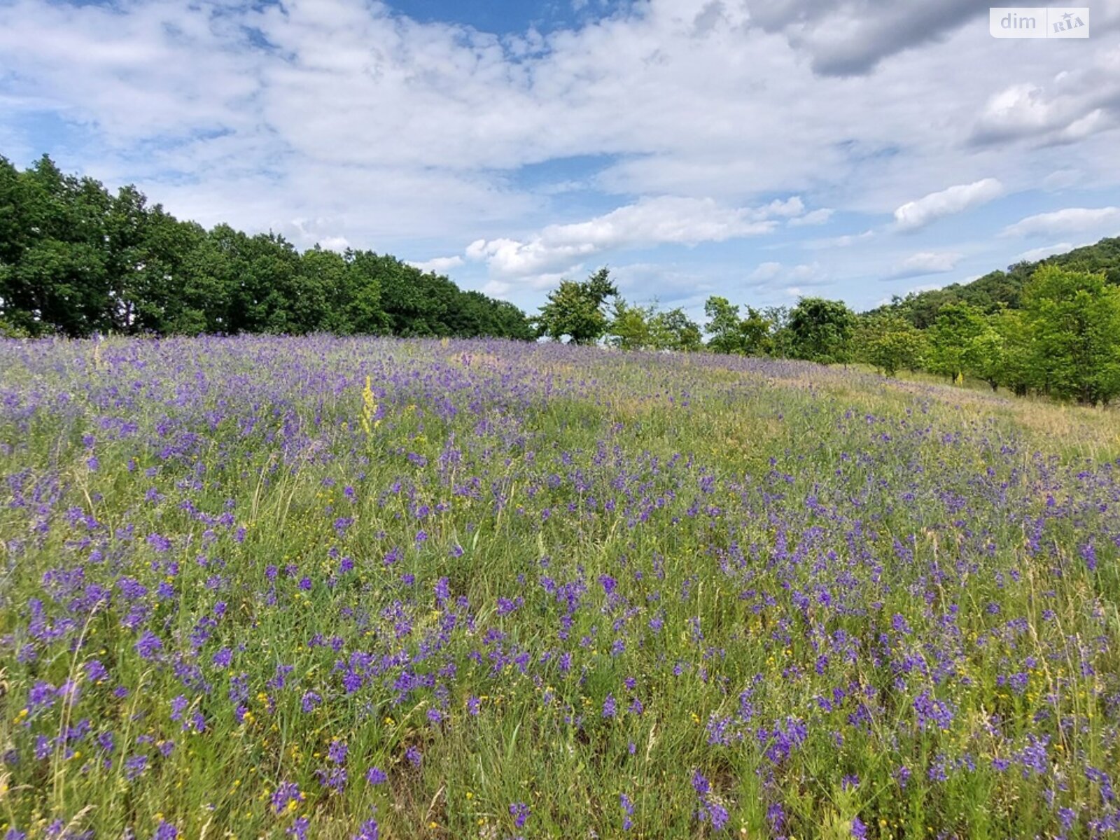 одноповерховий будинок з верандою, 58.8 кв. м, цегла. Здається помісячно в Гаївщині фото 1 одноповерховий будинок з верандою, 58.8 кв. м, цегла. Здається помісячно в Гаївщині фото 1