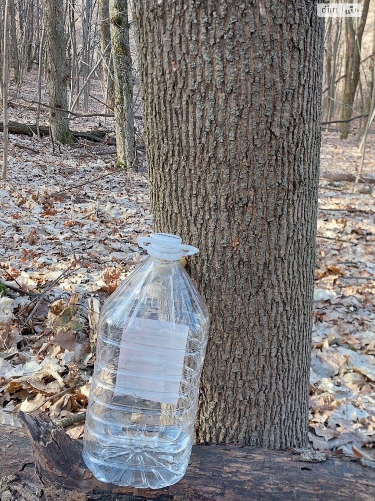 одноповерховий будинок з верандою, 58.8 кв. м, цегла. Здається помісячно в Гаївщині фото 1 одноповерховий будинок з верандою, 58.8 кв. м, цегла. Здається помісячно в Гаївщині фото 1