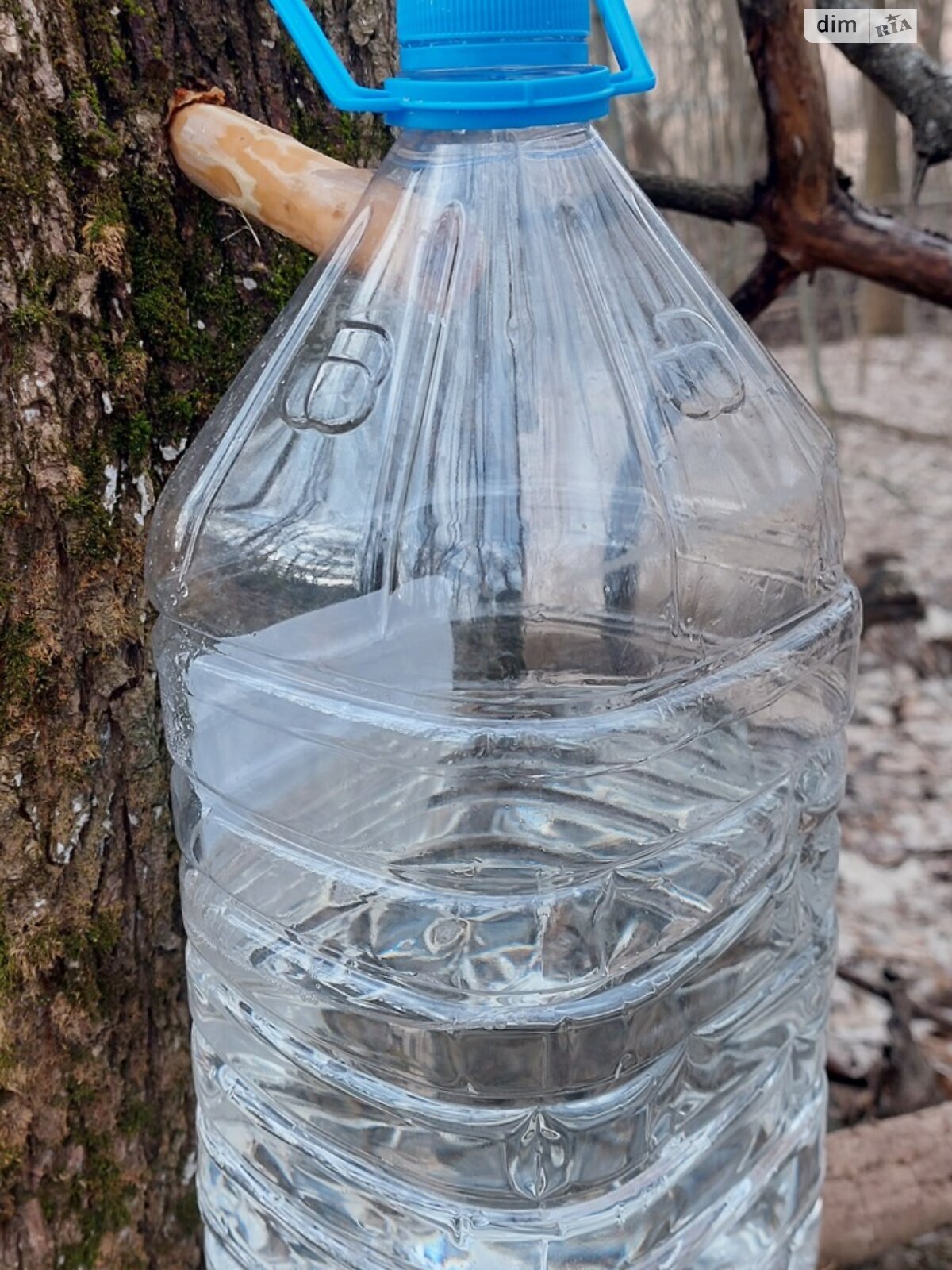 одноповерховий будинок з верандою, 58.8 кв. м, цегла. Здається помісячно в Гаївщині фото 1 одноповерховий будинок з верандою, 58.8 кв. м, цегла. Здається помісячно в Гаївщині фото 1