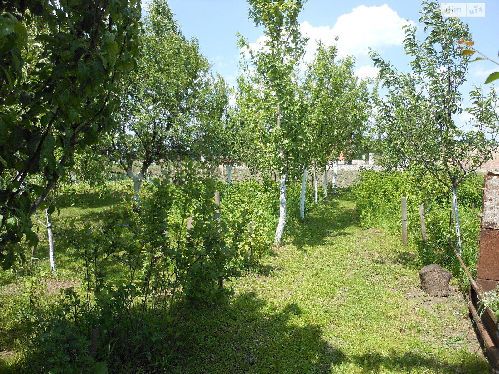 двоповерховий будинок з балконом, 450 кв. м, цегла. Здається помісячно в Байківці фото 1