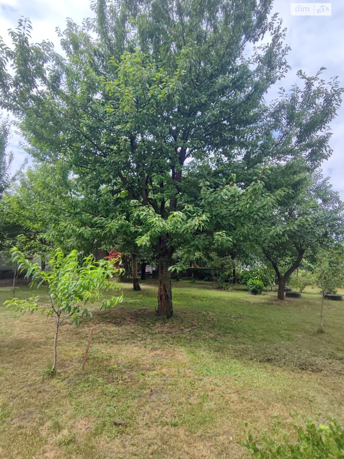 двоповерховий будинок з балконом, 450 кв. м, цегла. Здається помісячно в Байківці фото 1