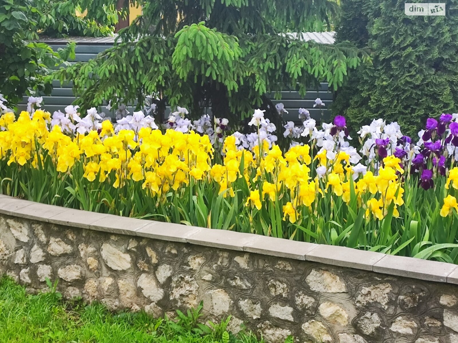 двоповерховий будинок з балконом, 450 кв. м, цегла. Здається помісячно в Байківці фото 1