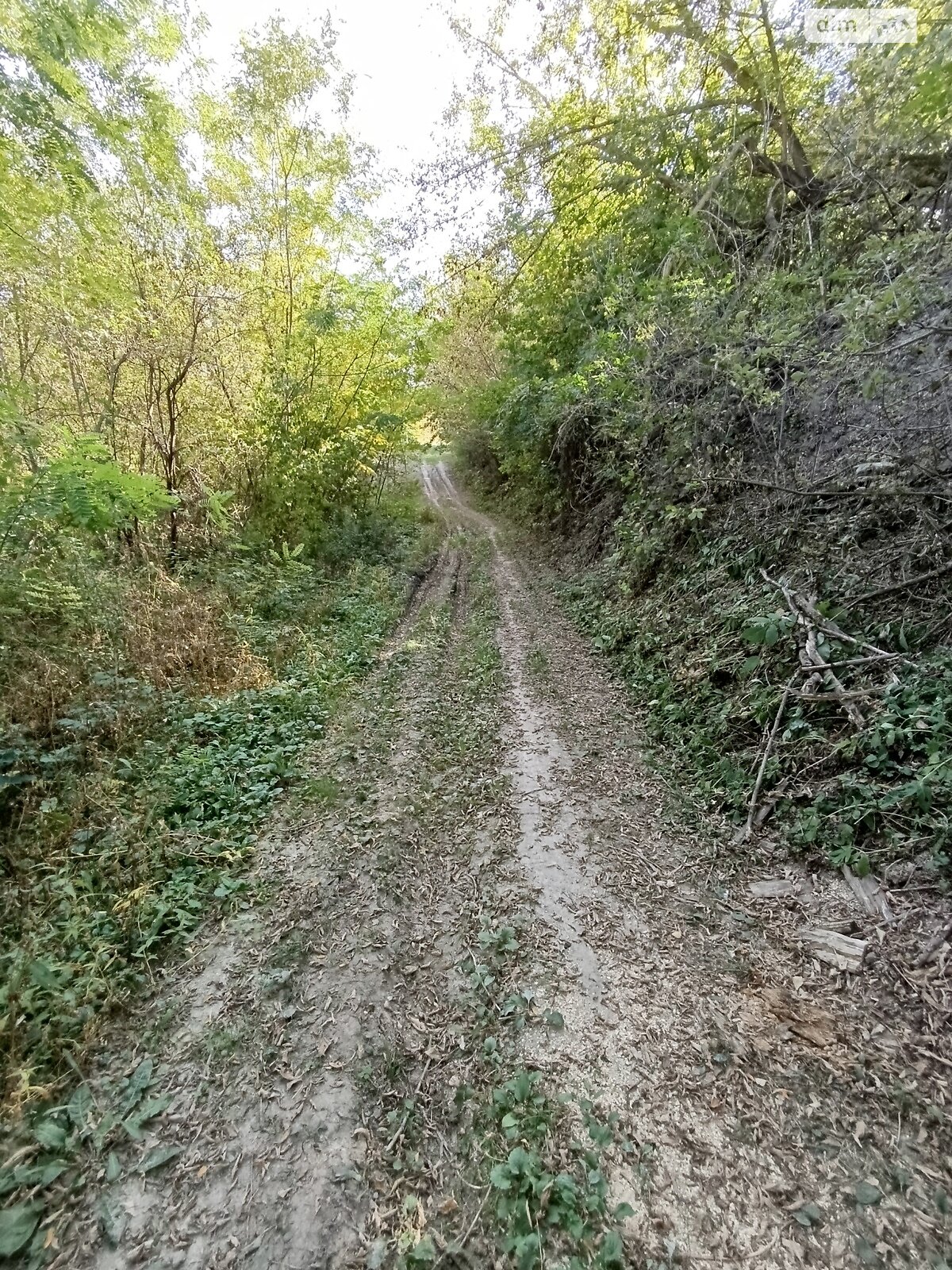 одноповерховий будинок веранда, 57.2 кв. м, цегла. Здається помісячно в Халчі фото 1