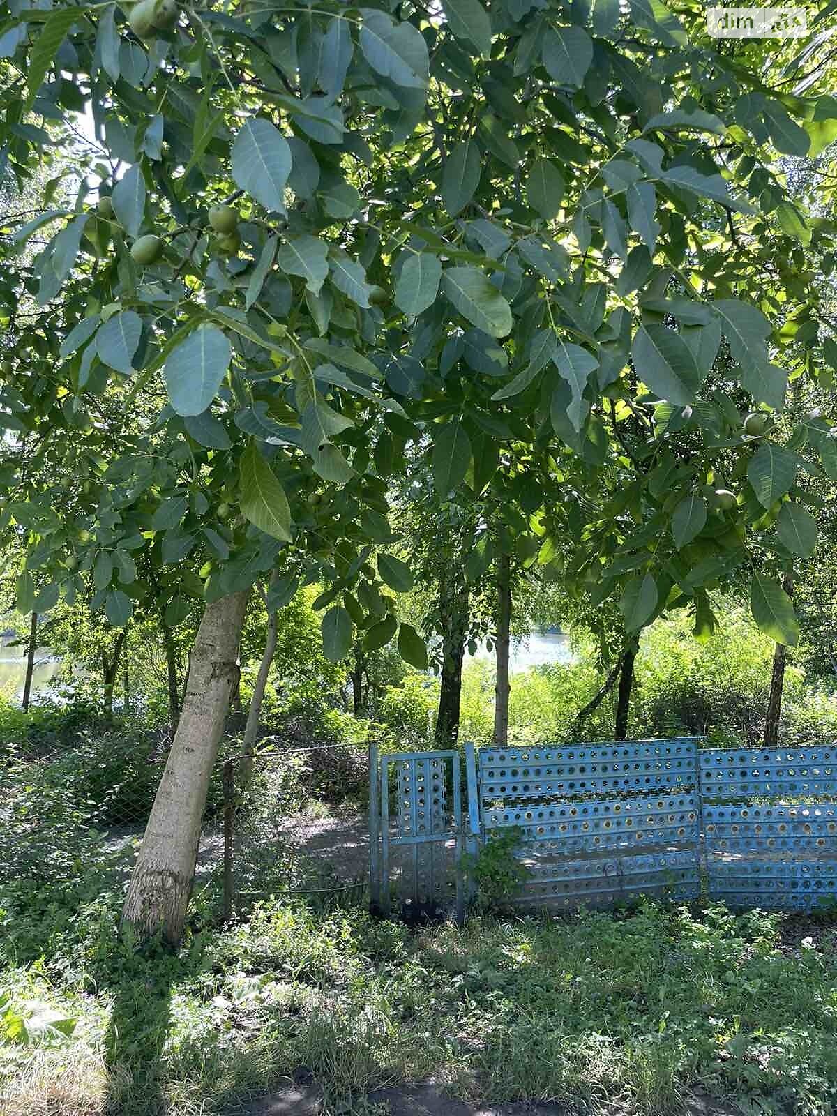 однопроверховий будинок бесідка, 72 кв. м, кирпич. Здається помісячно в Хмельницькому, в районі Дубове фото 1