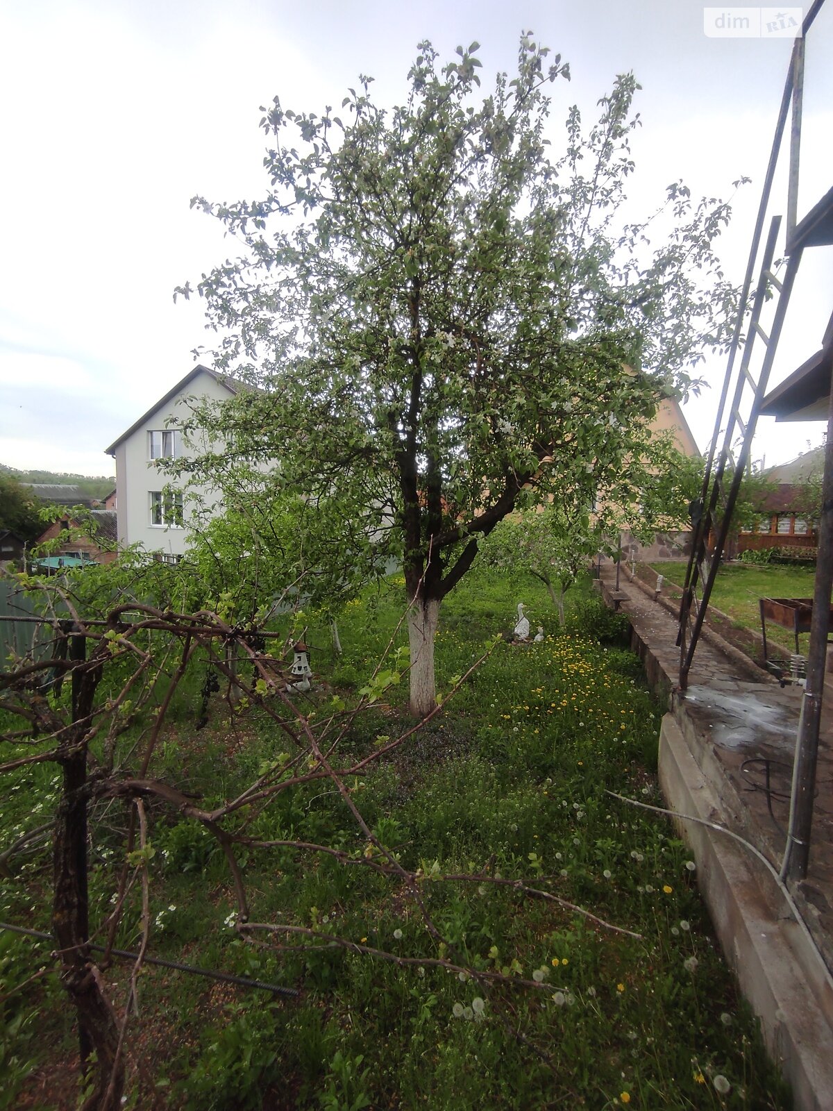 двоповерховий будинок бесідка, 700 кв. м, цегла. Здається помісячно в Хмельницькому, в районі Ружична фото 1 двопроверховий будинок бесідка, 700 кв. м, цегла. Здається помісячно в Хмельницькому, в районі Ружична фото 1