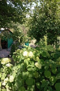 двухэтажный дом с верандой, 70 кв. м, дерево и кирпич. Сдается помесячно в Хвилево-Сорочине фото 2