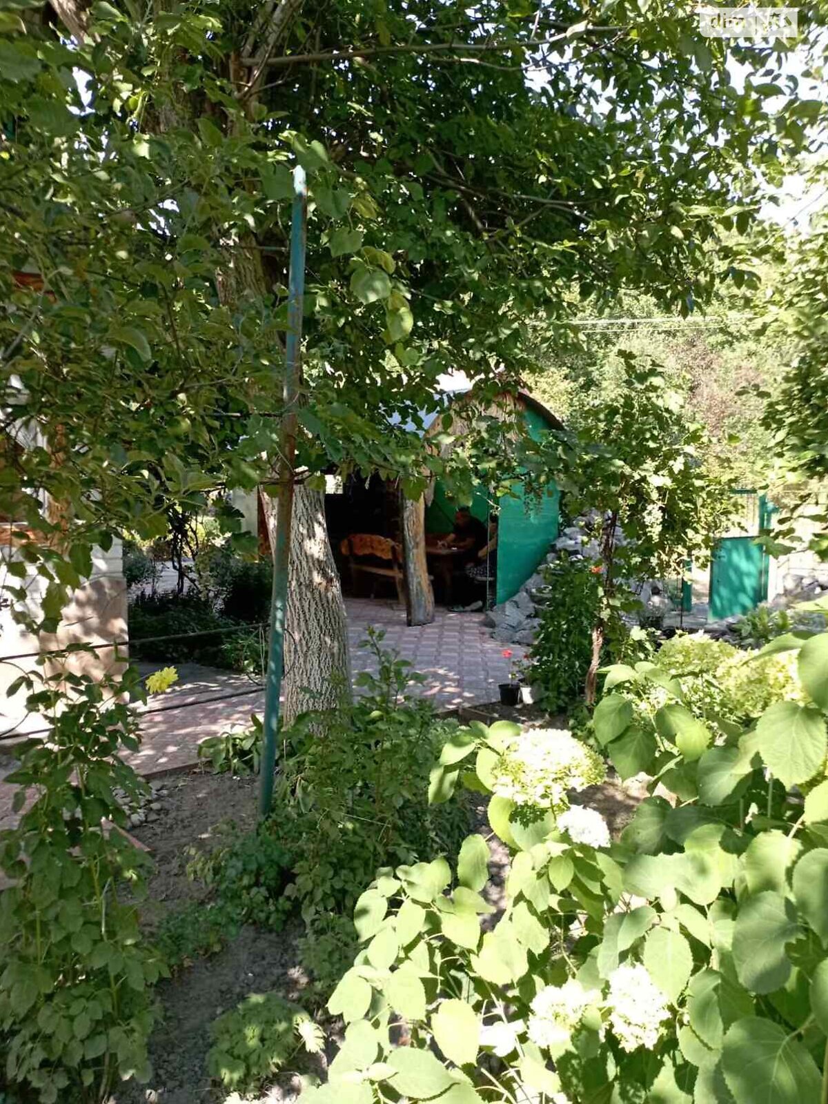 двоповерховий будинок з верандою, 70 кв. м, дерево та цегла. Здається помісячно в Хвилеве-Сорочині фото 1 двоповерховий будинок з верандою, 70 кв. м, дерево та цегла. Здається помісячно в Хвилеве-Сорочині фото 1