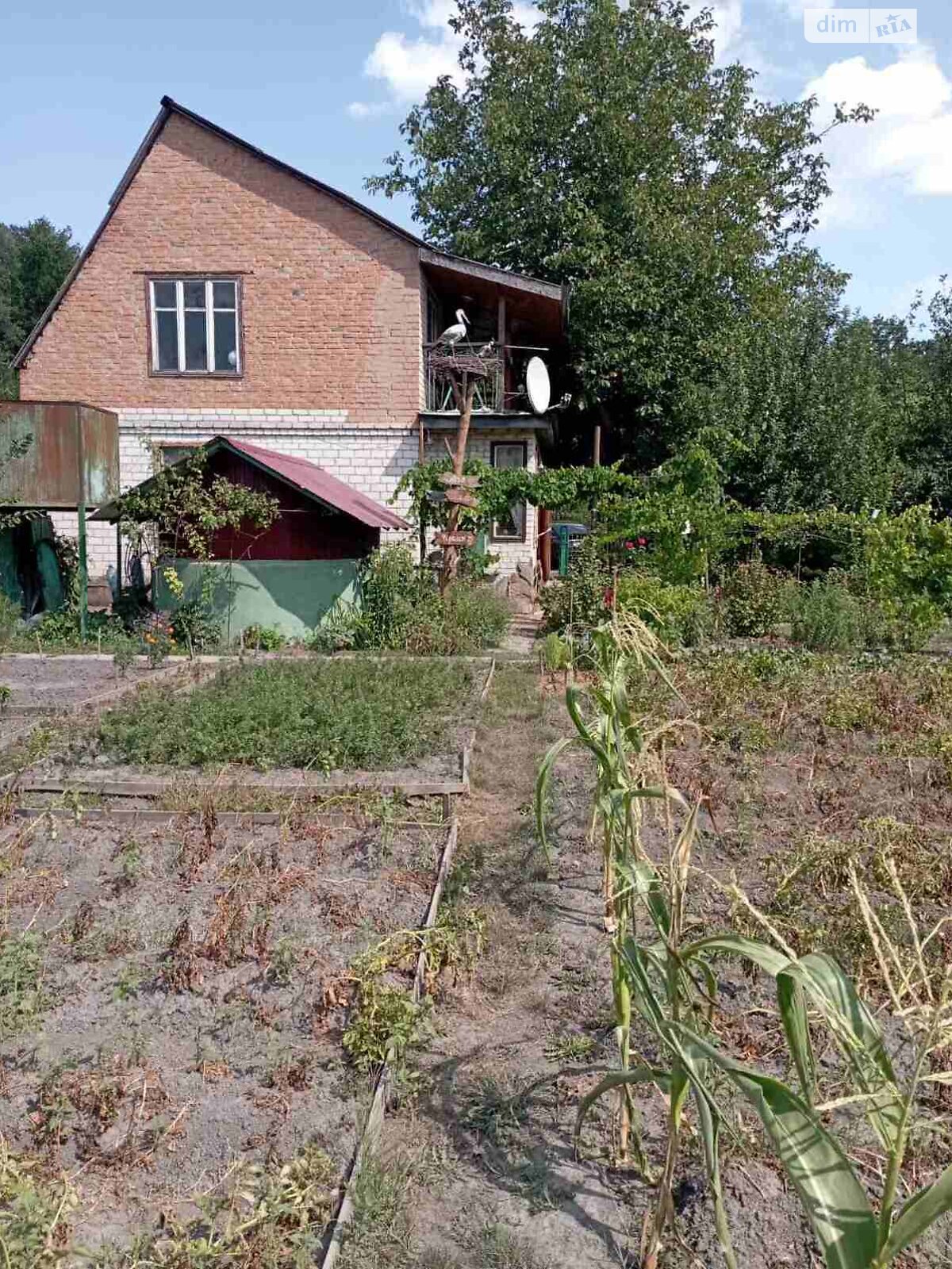 двоповерховий будинок з верандою, 70 кв. м, дерево та цегла. Здається помісячно в Хвилеве-Сорочині фото 1 двоповерховий будинок з верандою, 70 кв. м, дерево та цегла. Здається помісячно в Хвилеве-Сорочині фото 1