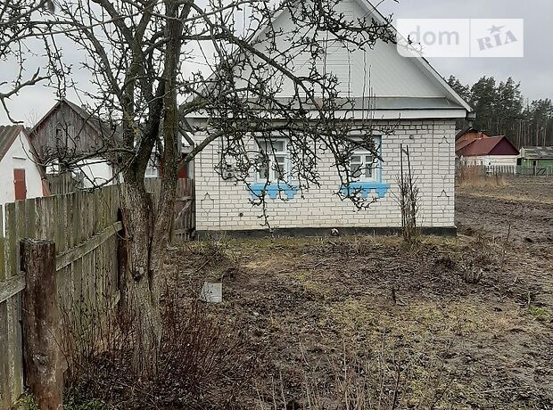 одноэтажный дом, 49 кв. м, кирпич силикатный. Сдается помесячно в село Ивановка, Житомирская обл. фото 1 одноэтажный дом, 49 кв. м, кирпич силикатный. Сдается помесячно в село Ивановка, Житомирская обл. фото 1