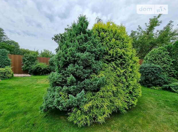 одноэтажный дом с камином, 200 кв. м, ракушечник (ракушняк). Сдается помесячно в Житомире, в районе Центр фото 1 одноэтажный дом с камином, 200 кв. м, ракушечник (ракушняк). Сдается помесячно в Житомире, в районе Центр фото 1