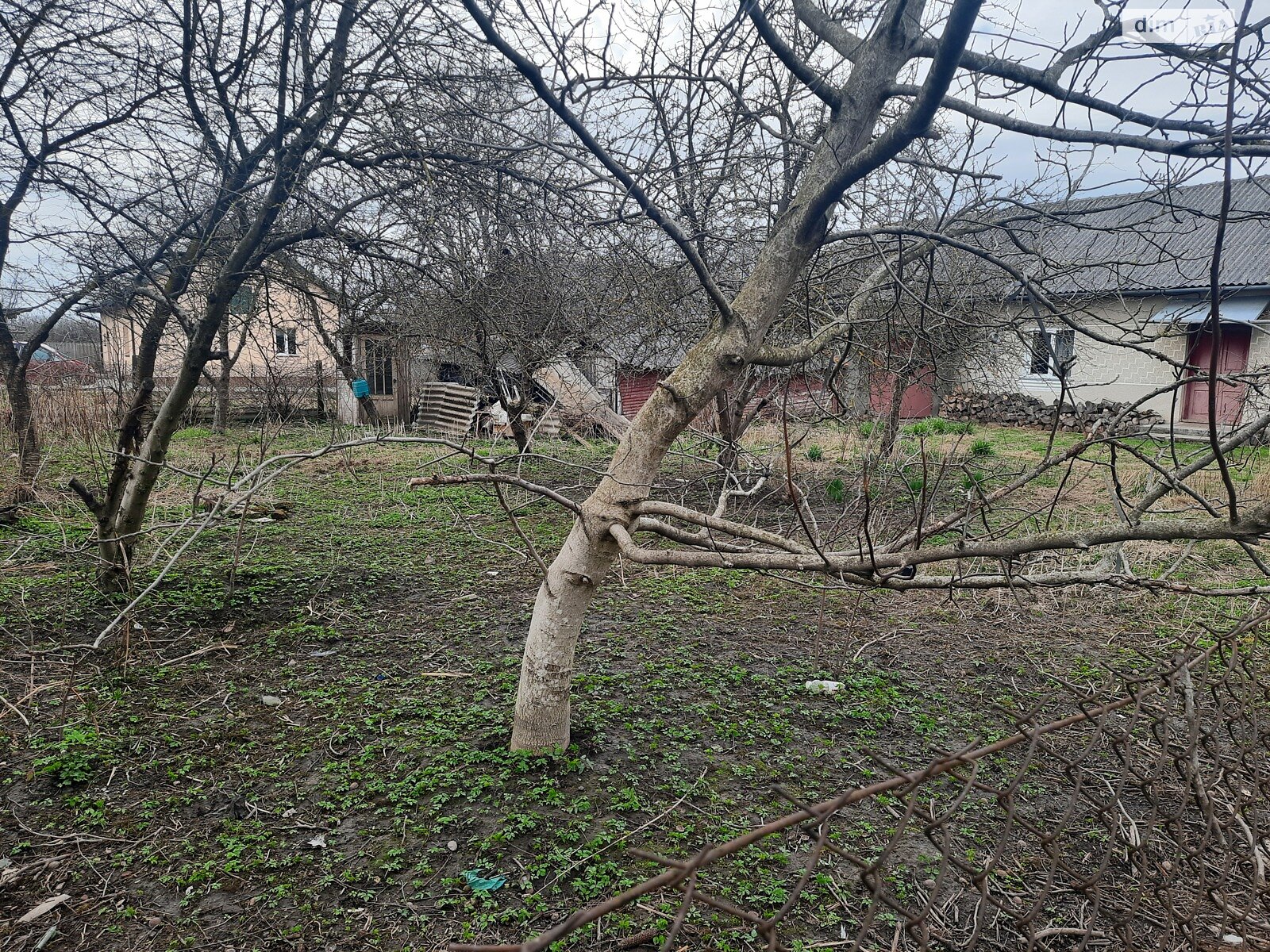 одноповерховий будинок веранда, 115 кв. м, цегла. Здається помісячно в Керниці фото 1