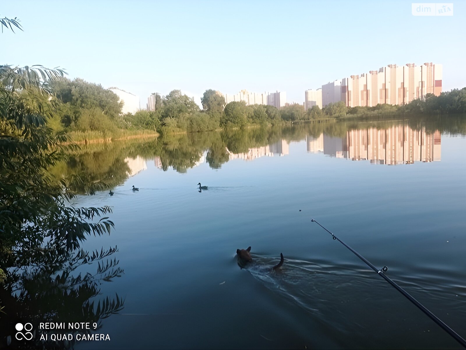 одноэтажный дом беседка, 45 кв. м, сендвич-панели. Сдается помесячно в Киеве, в районе Дарницкий фото 1 одноэтажный дом беседка, 45 кв. м, сендвич-панели. Сдается помесячно в Киеве, в районе Дарницкий фото 1