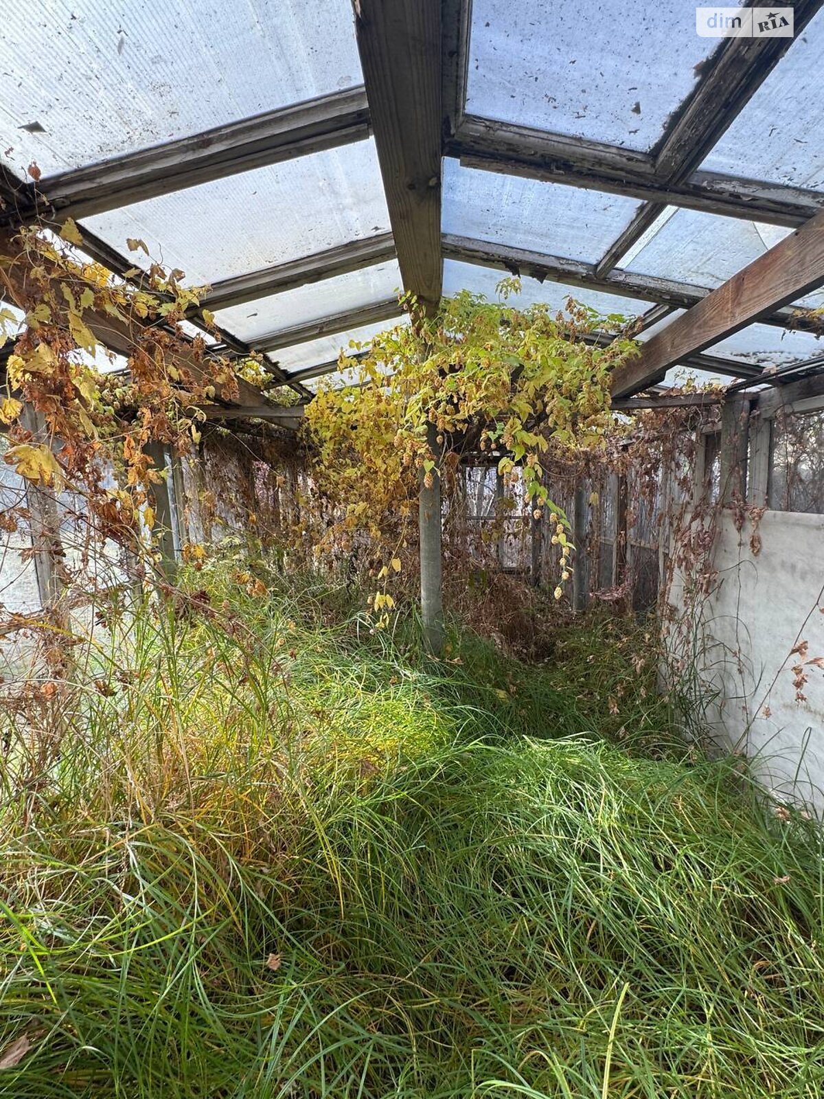 триповерховий будинок з балконом, 310 кв. м, цегла. Здається помісячно в Києві, в районі undefined фото 1 трипроверховий будинок з балконом, 310 кв. м, цегла. Здається помісячно в Києві, в районі undefined фото 1