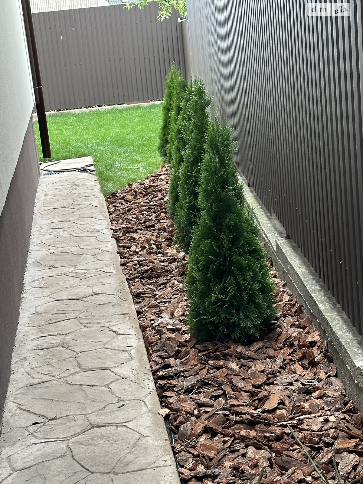 одноэтажный дом с верандой, 160 кв. м, кирпич силикатный. Сдается помесячно в Киеве, в районе Совки фото 1