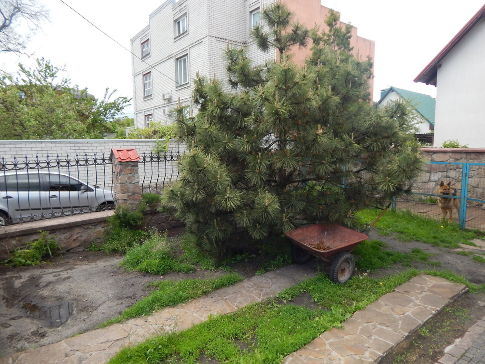 трехэтажный дом, 620 кв. м, кирпич. Сдается помесячно в Киеве, в районе Святошинский фото 1 трехэтажный дом, 620 кв. м, кирпич. Сдается помесячно в Киеве, в районе Святошинский фото 1