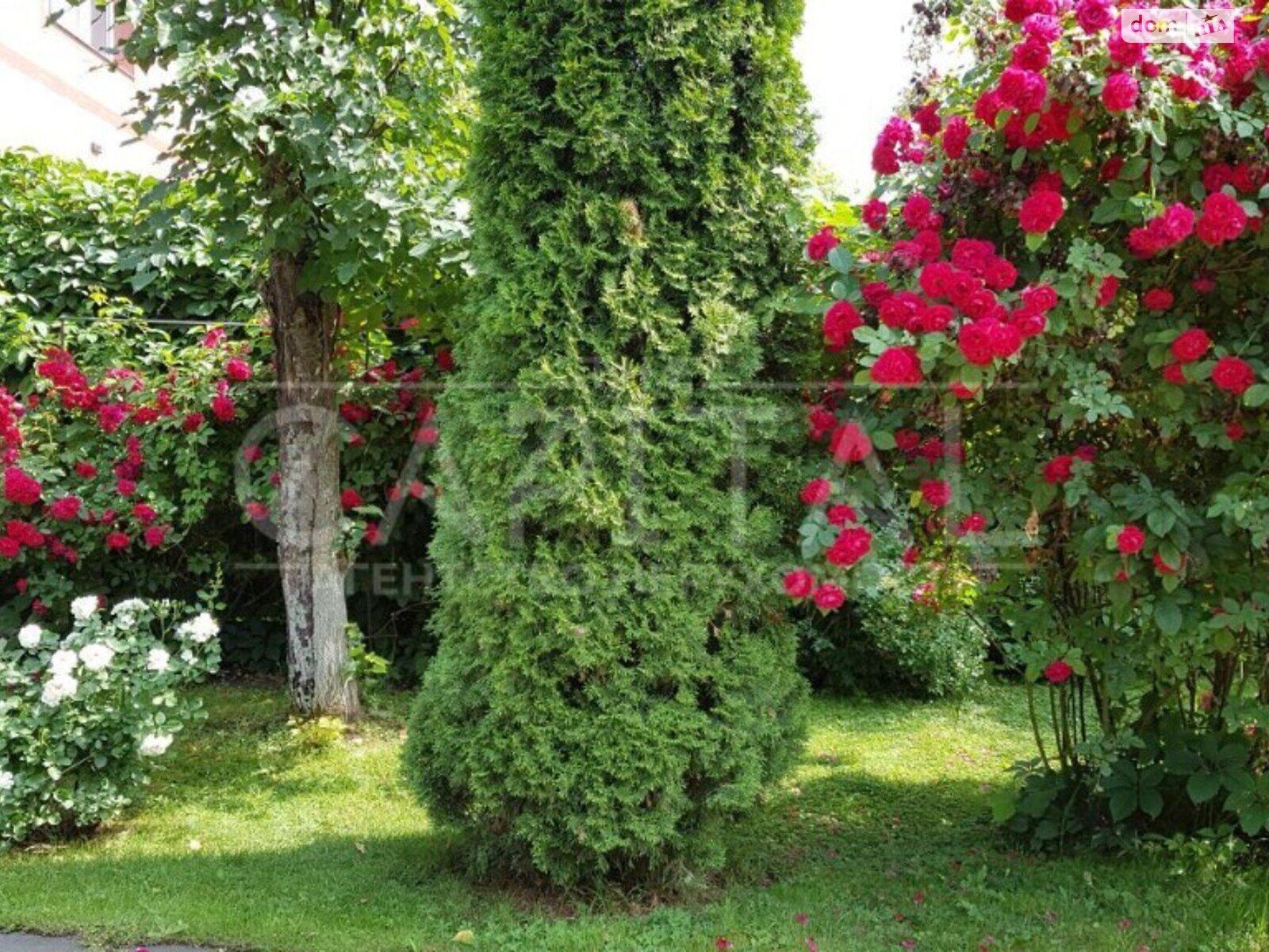 триповерховий будинок з балконом, 400 кв. м, цегла. Здається помісячно в Петропавлівській Борщагівці фото 1