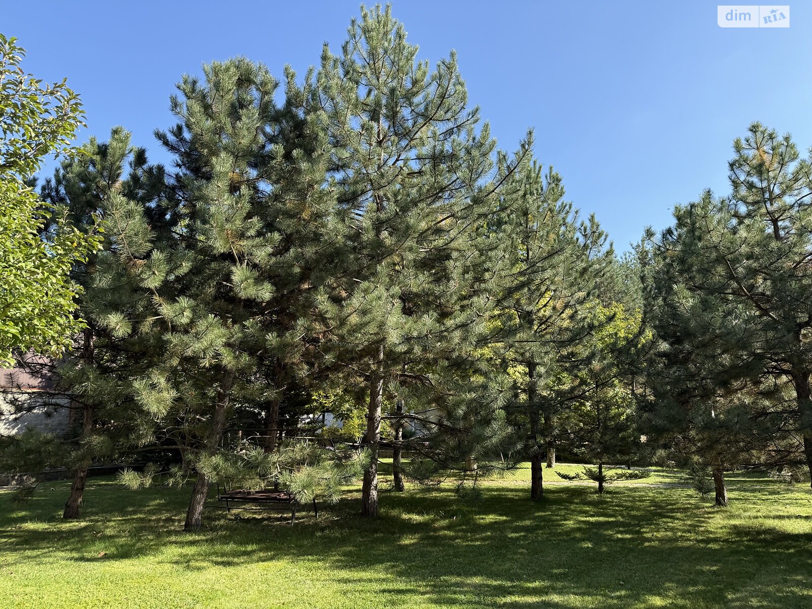 двоповерховий будинок з гаражем, 340 кв. м, цегла. Здається помісячно в Козині фото 1