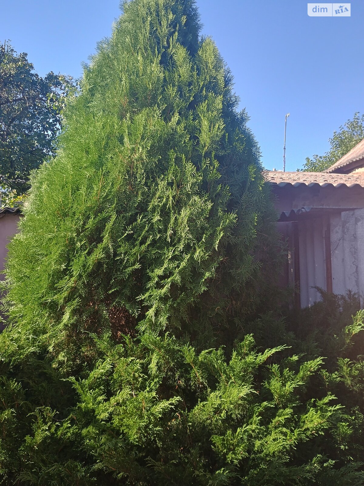 одноэтажный дом, 100 кв. м, кирпич. Сдается помесячно в Красноторке фото 1 одноэтажный дом, 100 кв. м, кирпич. Сдается помесячно в Красноторке фото 1