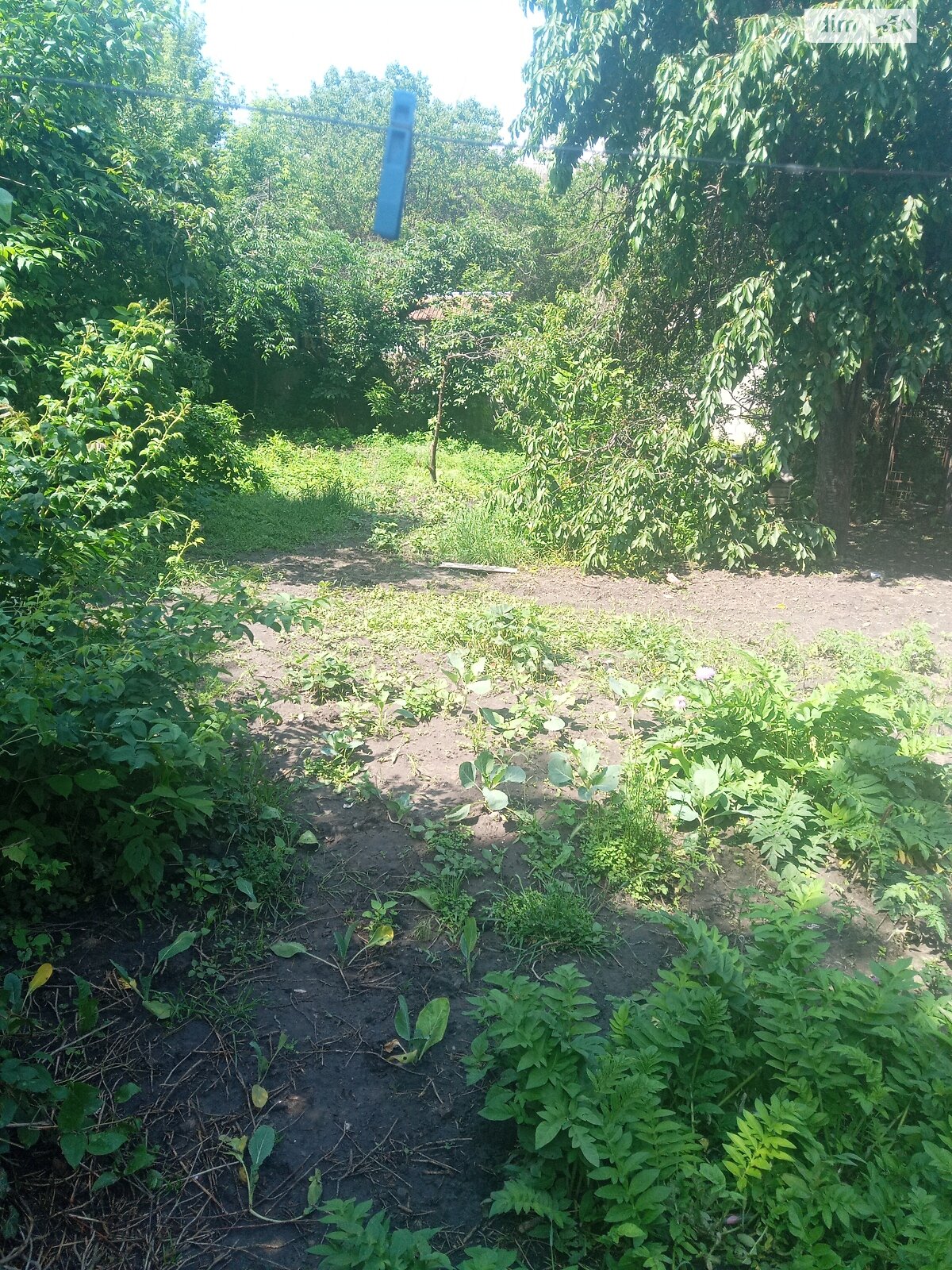 одноповерховий будинок, 18 кв. м, цегла. Здається помісячно в Кривому Розі, в районі Центрально-Міський фото 1 однопроверховий будинок, 18 кв. м, цегла. Здається помісячно в Кривому Розі, в районі Центрально-Міський фото 1