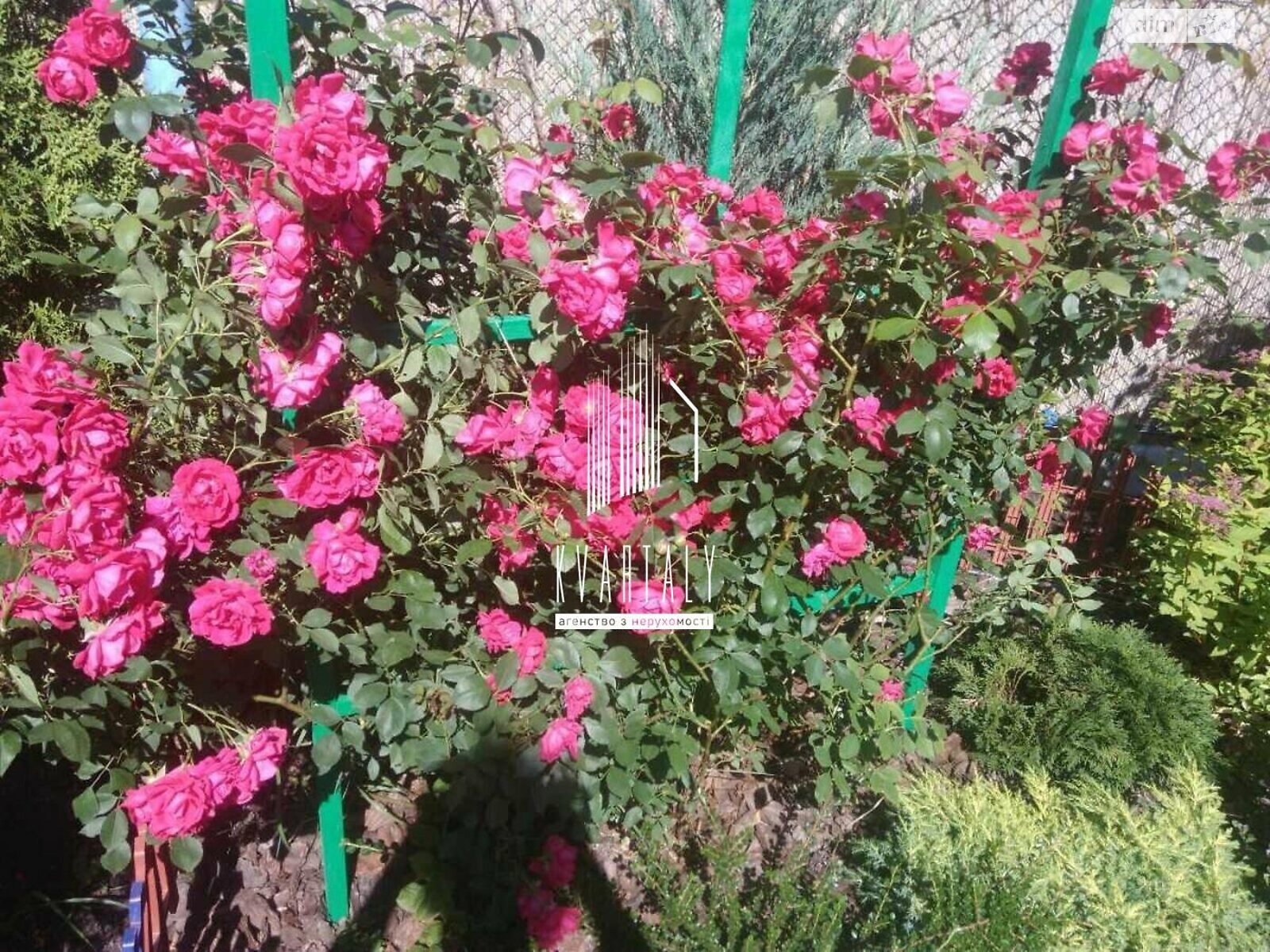 двоповерховий будинок бесідка, 110 кв. м, цегла. Здається помісячно в Лісне фото 1 двоповерховий будинок бесідка, 110 кв. м, цегла. Здається помісячно в Лісне фото 1