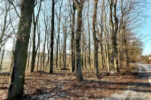 одноповерховий будинок, 90 кв. м, кирпич. Здається помісячно в Луці-Мелешківській фото 2