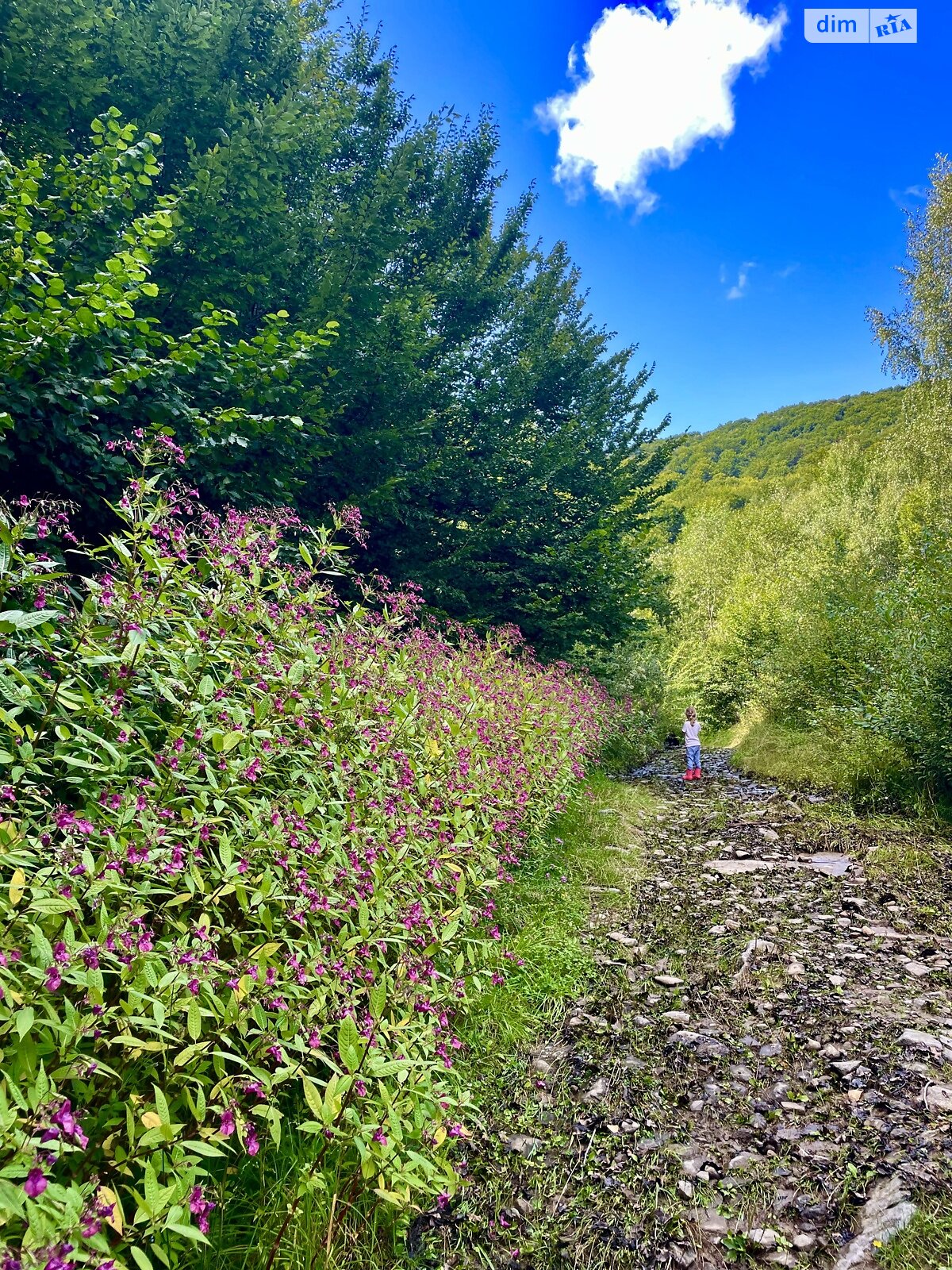 двухэтажный дом беседка, 80 кв. м, кирпич. Сдается помесячно в Лумшорах фото 1