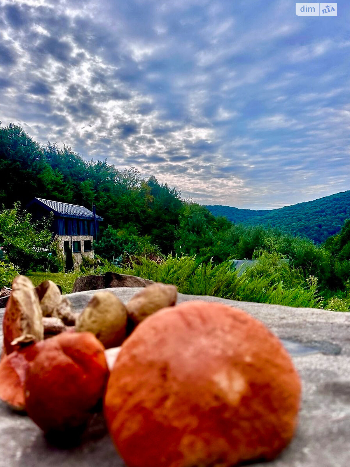 двухэтажный дом беседка, 80 кв. м, кирпич. Сдается помесячно в Лумшорах фото 1