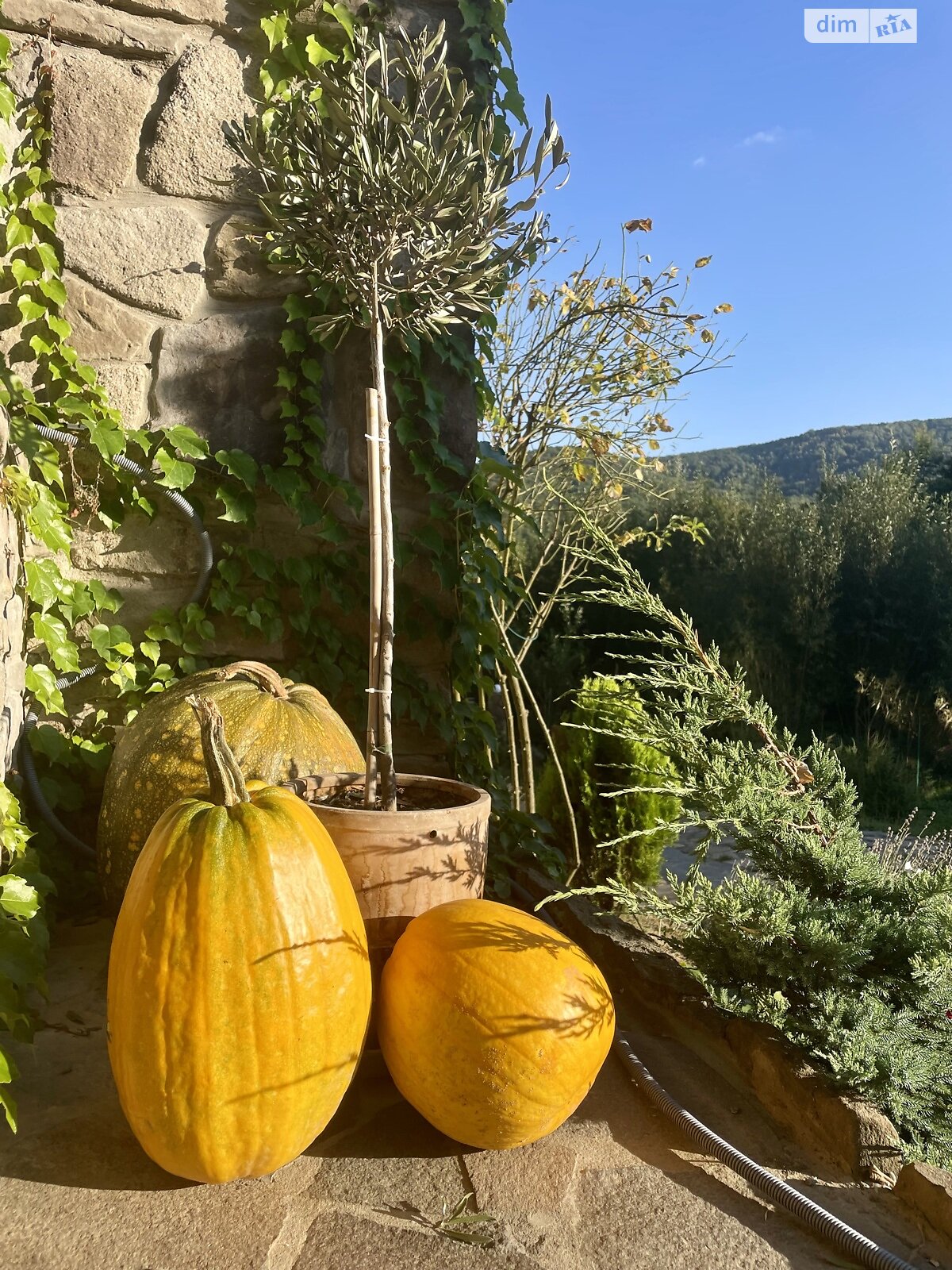 двухэтажный дом беседка, 80 кв. м, кирпич. Сдается помесячно в Лумшорах фото 1