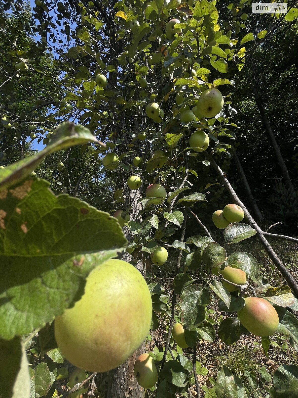 двухэтажный дом беседка, 80 кв. м, кирпич. Сдается помесячно в Лумшорах фото 1