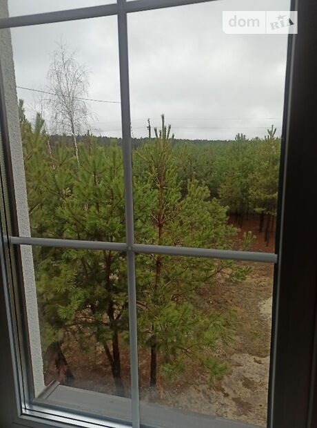 двухэтажный дом с камином, 96 кв. м, каркасно-щитовой. Сдается помесячно в Жидичине фото 1 двухэтажный дом с камином, 96 кв. м, каркасно-щитовой. Сдается помесячно в Жидичине фото 1
