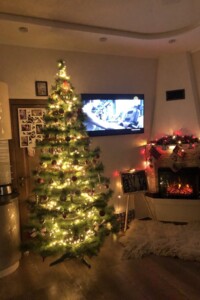 двухэтажный дом, 75 кв. м, кирпич. Сдается помесячно в Львове, в районе Зализнычный фото 2