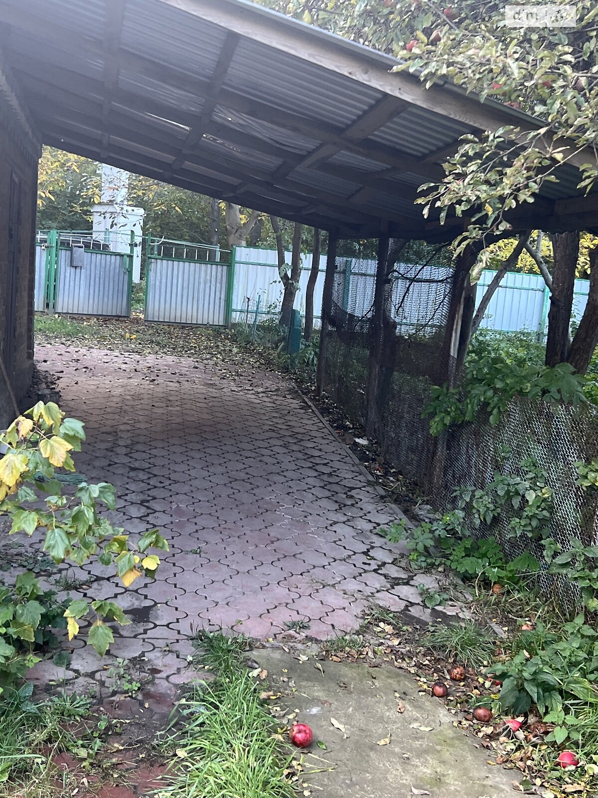 одноповерховий будинок, 70 кв. м, кирпич. Здається помісячно в Майдані-Чапельскому фото 1 одноповерховий будинок, 70 кв. м, кирпич. Здається помісячно в Майдані-Чапельскому фото 1