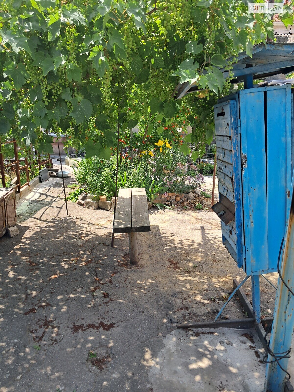 одноповерховий будинок, 31.5 кв. м, цегла. Здається помісячно в Миколаєві, в районі Центральний фото 1 однопроверховий будинок, 31.5 кв. м, цегла. Здається помісячно в Миколаєві, в районі Центральний фото 1