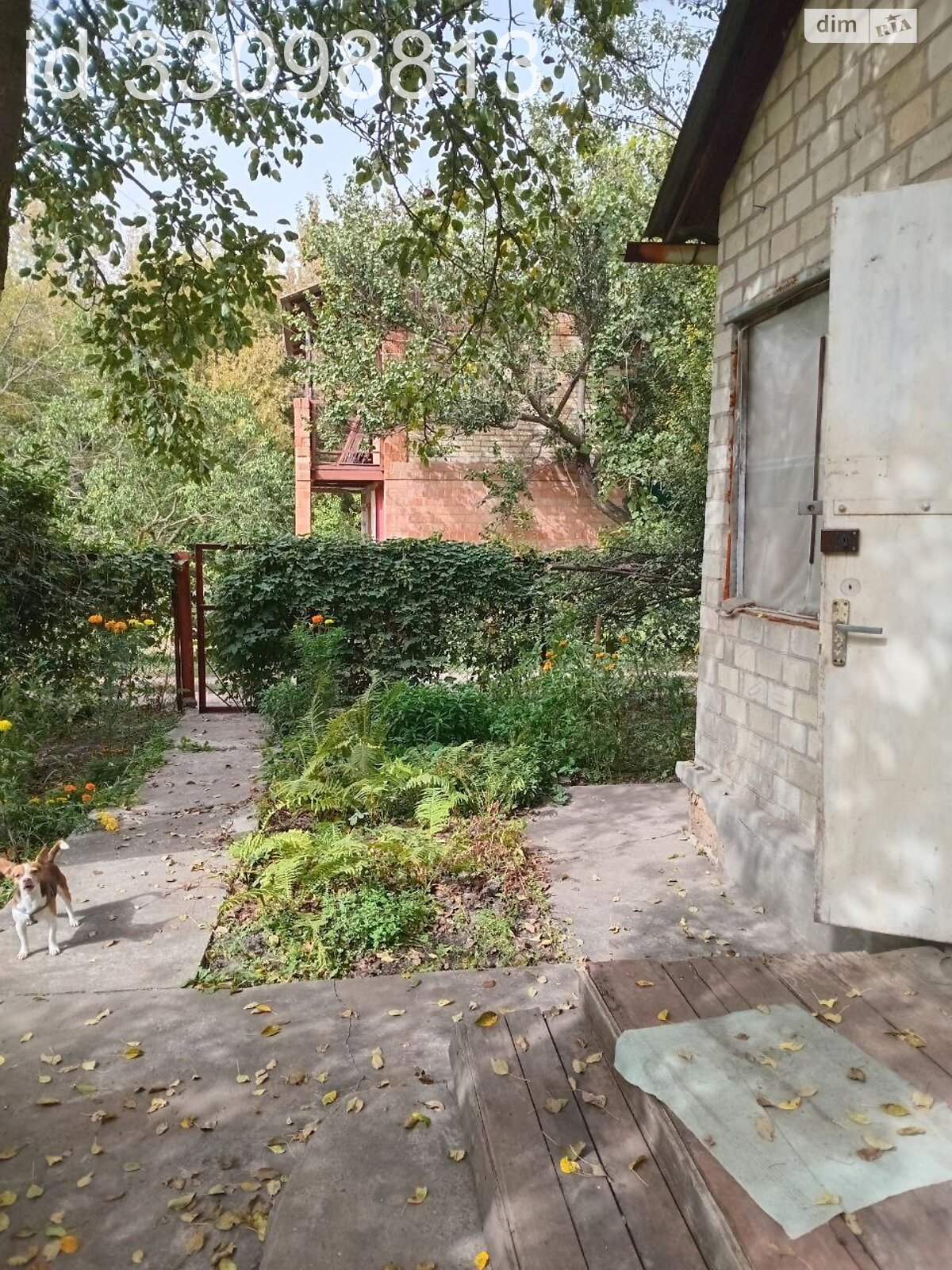 одноповерховий будинок, 44 кв. м, цегла. Здається помісячно в Новоолександрівці фото 1 одноповерховий будинок, 44 кв. м, цегла. Здається помісячно в Новоолександрівці фото 1